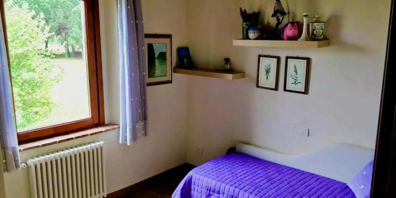 Appartamento Olimpia San Vincenzo Apartment